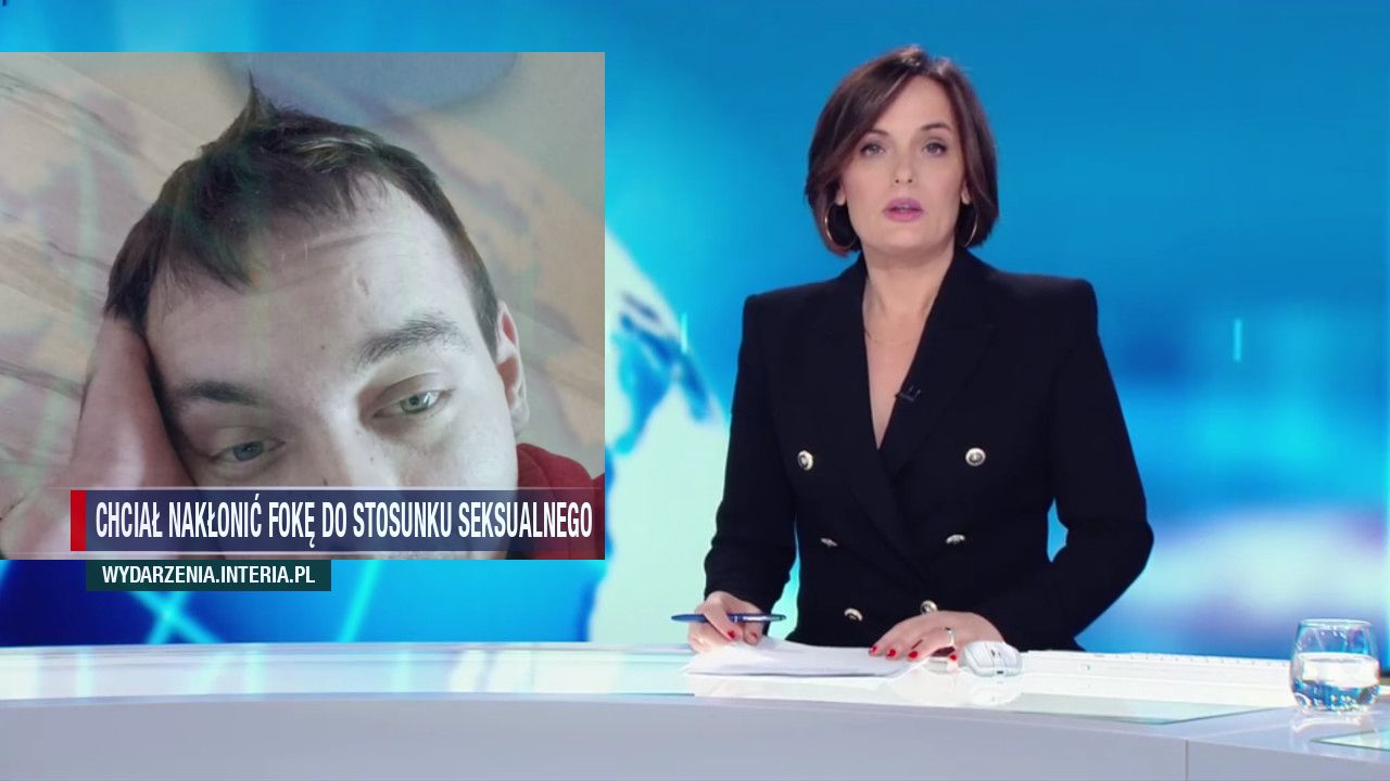 chciał nakłonić fokę do stosunku seksualnego 