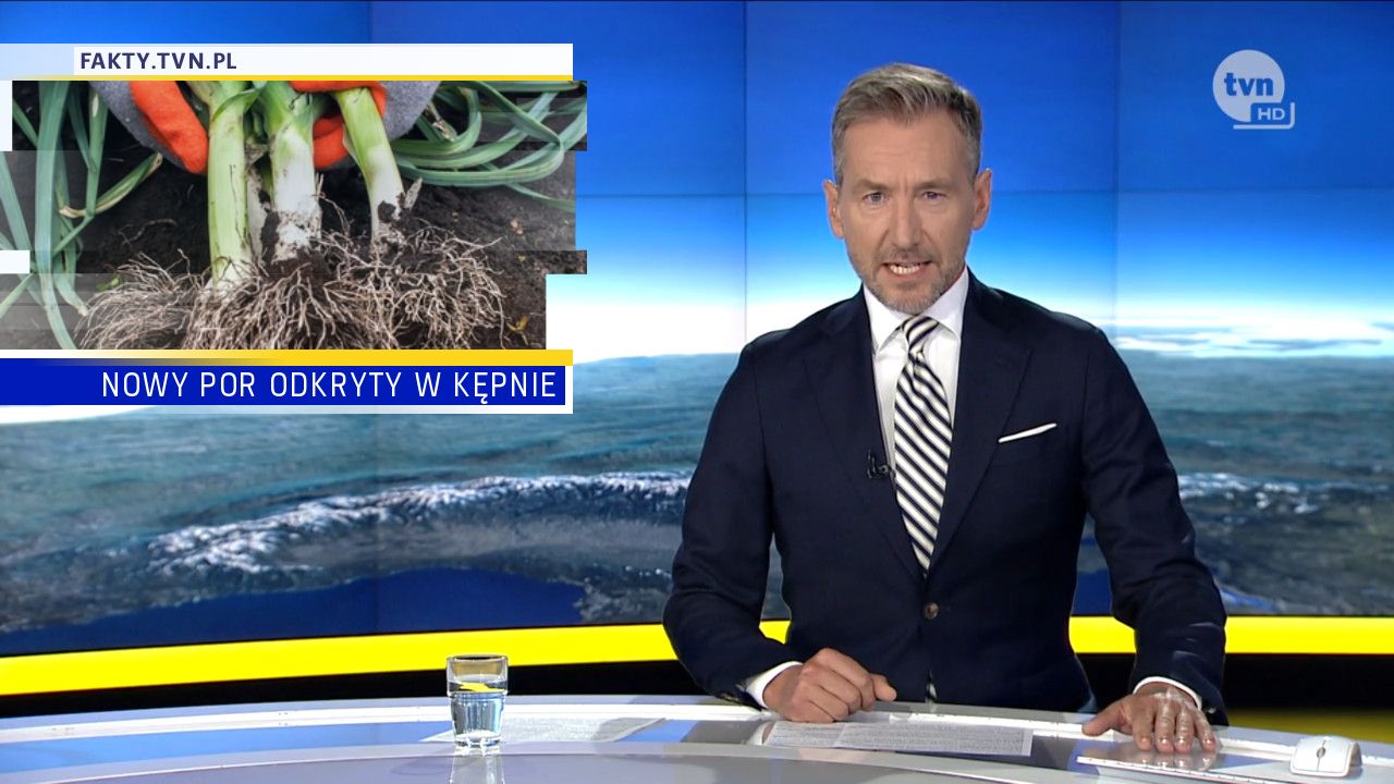 NOWY POR ODKRYTY W KĘPNIE