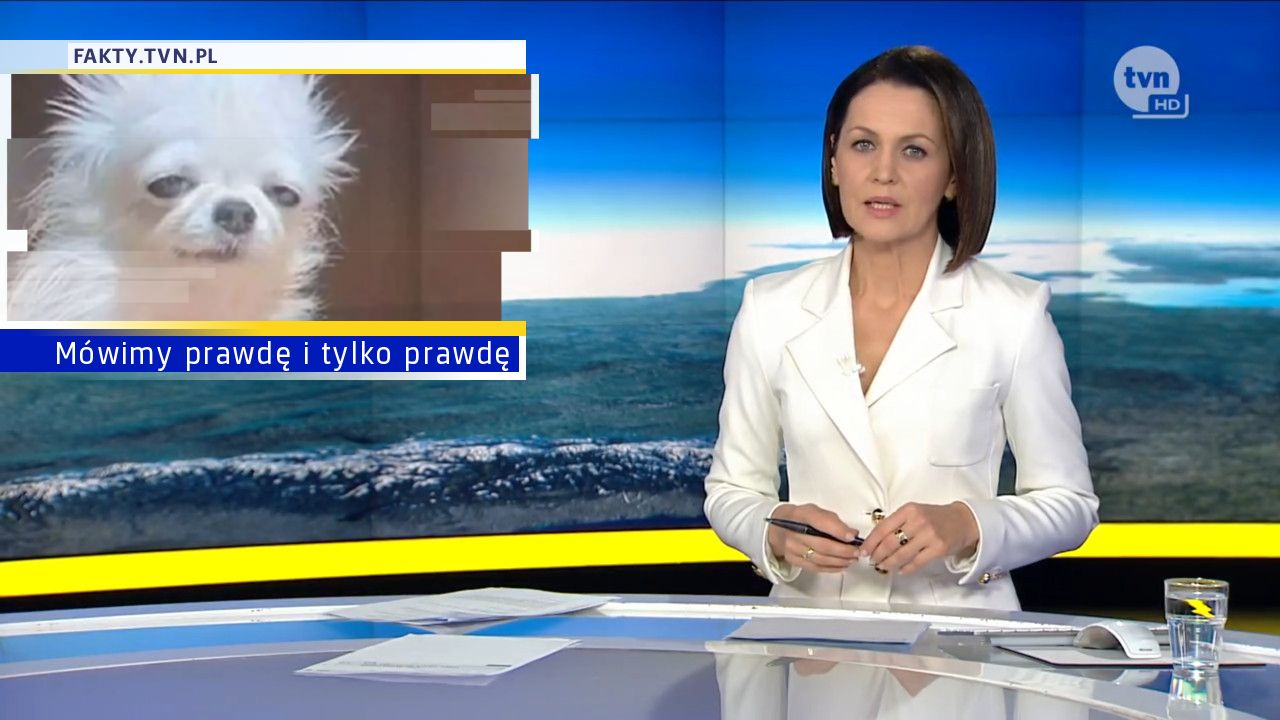 Mówimy prawdę i tylko prawdę