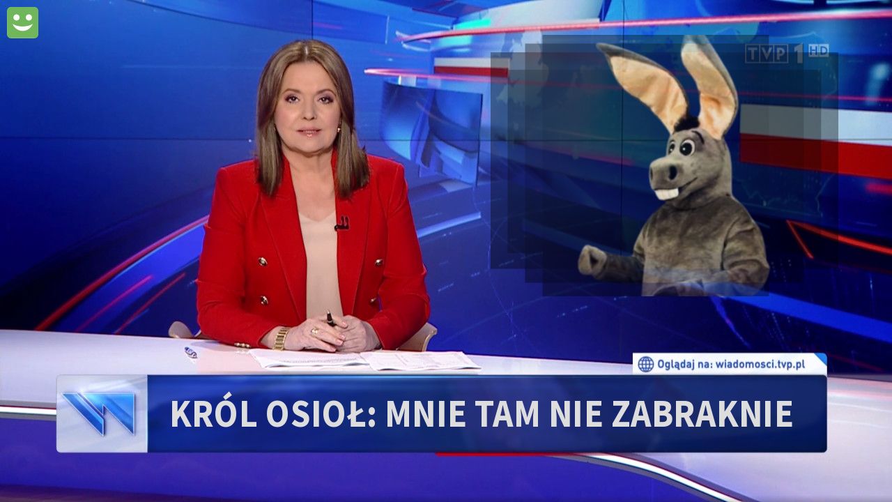 Król osioł: mnie tam nie zabraknie