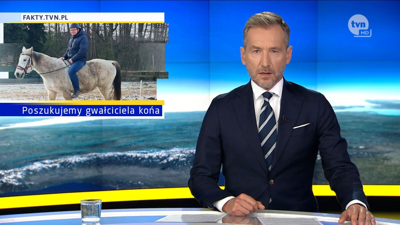 Poszukujemy gwałciciela końa